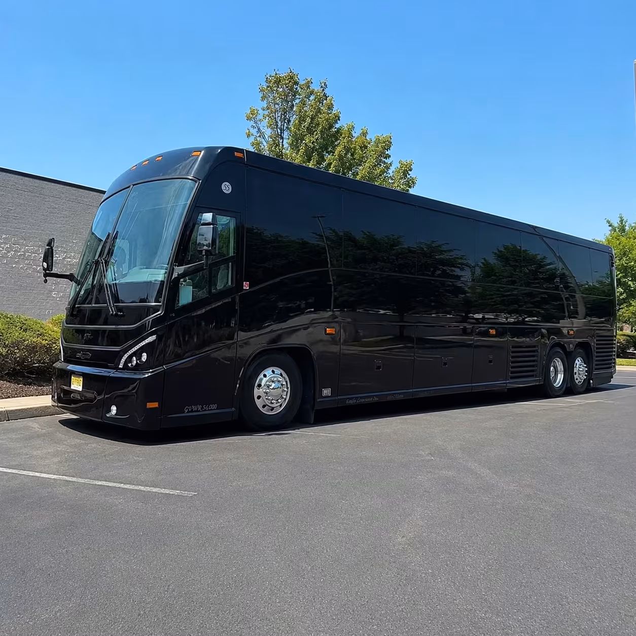 compare long distance transportation options in richardson and beyond
