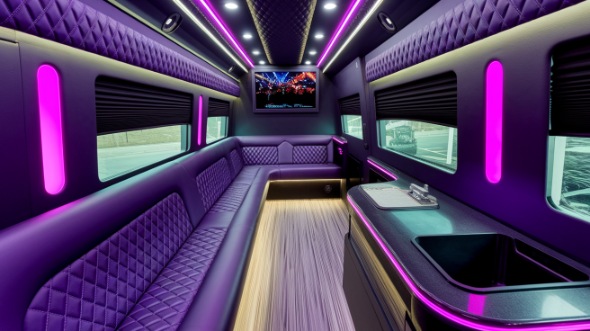 richardson sprinter limo rental inside